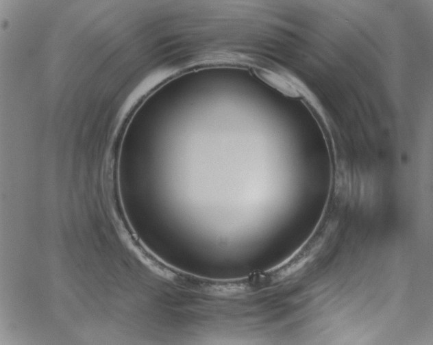 X0000062601053200512211105