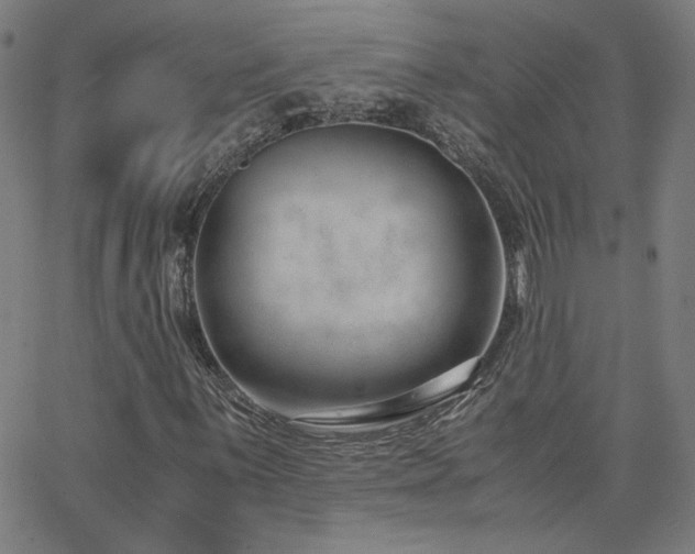 X0000062601059200512211104