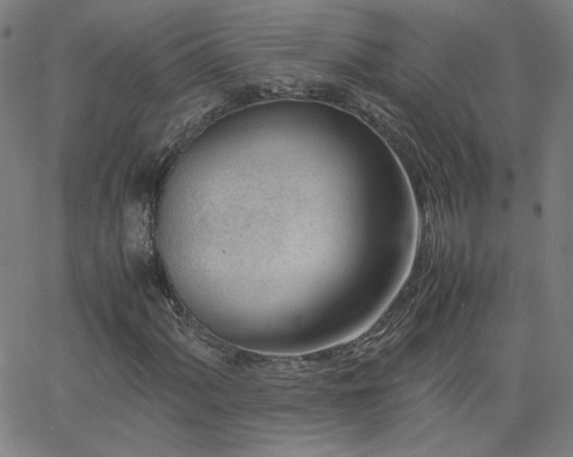 X0000062601060200512211104