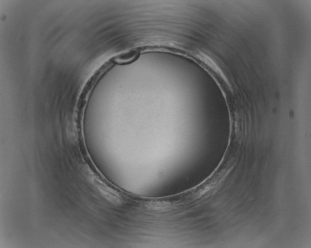 X0000062601068200512211104