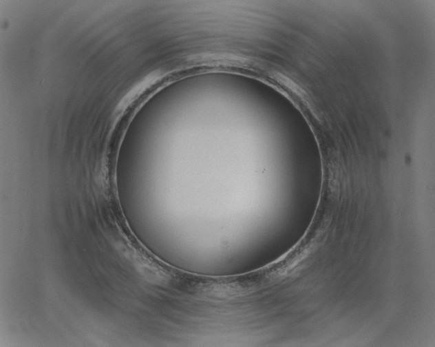 X0000062601074200512211104