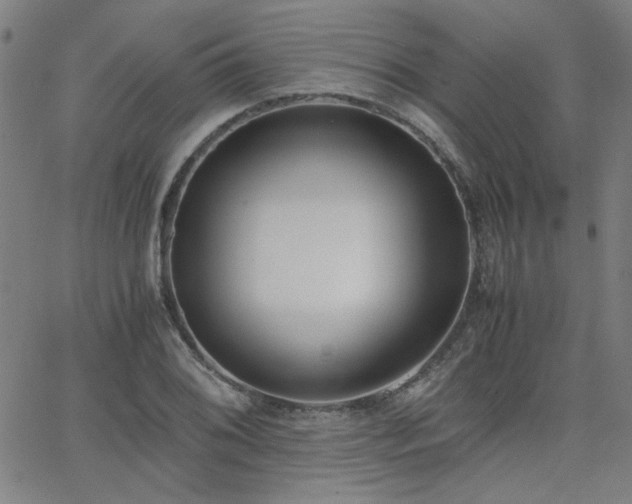 X0000062601076200512211104