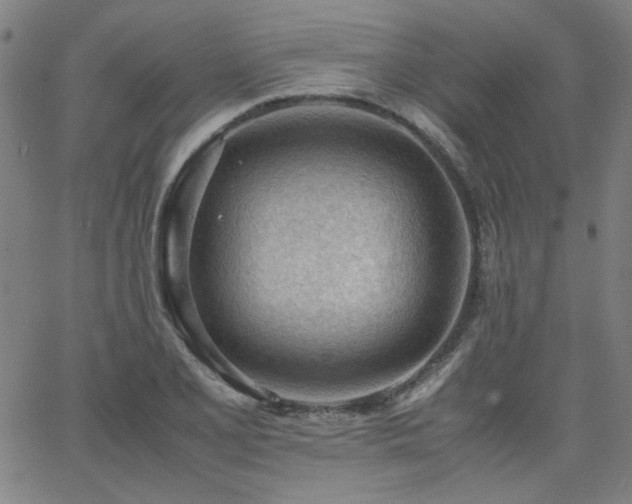 X0000062601077200512211104
