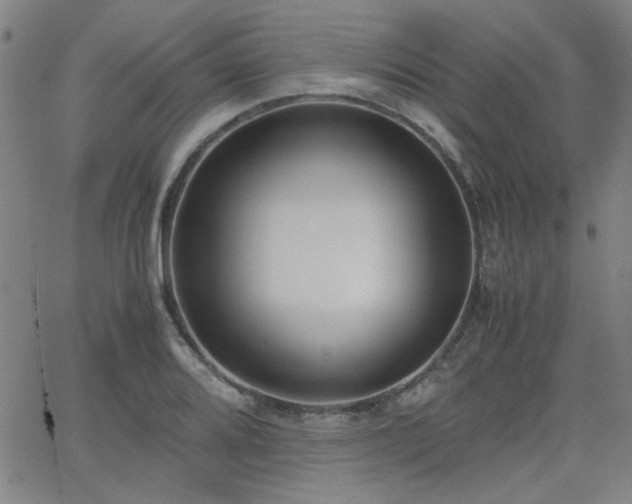 X0000062601080200512211104
