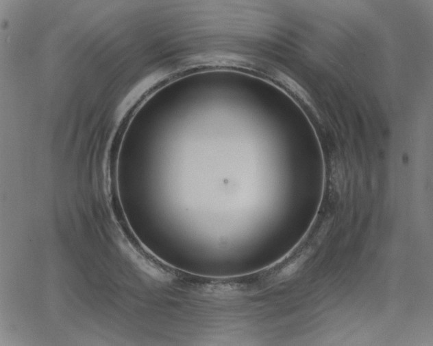 X0000062601082200512211104