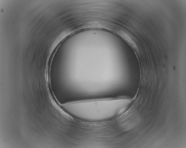 X0000062601084200512211104