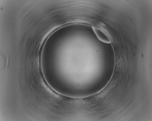 X0000062601092200512211104