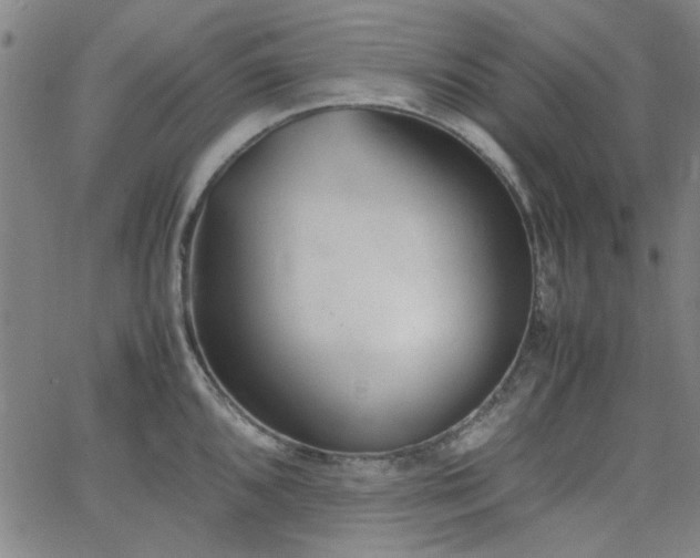 X0000062601096200512211104