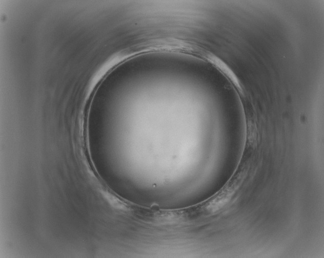 X0000062601099200512211104