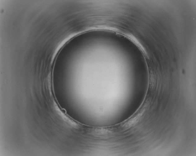 X0000062601100200512211104