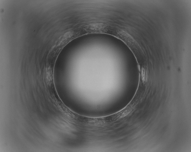 X0000062601107200512211103