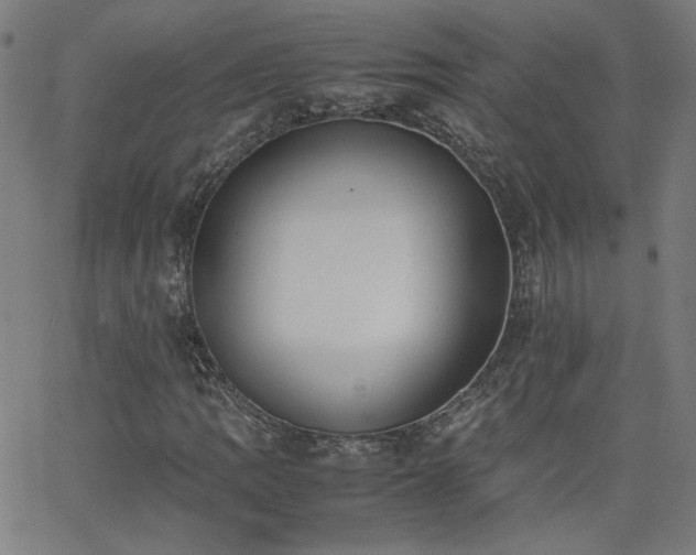 X0000062601109200512211103