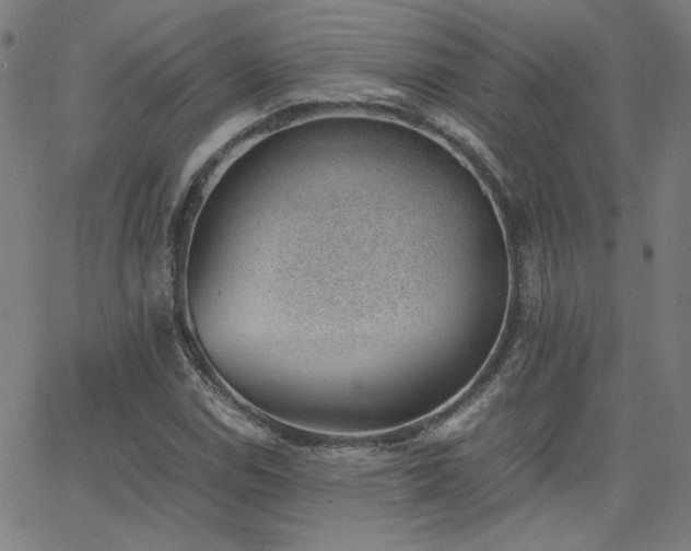 X0000062601114200512211103