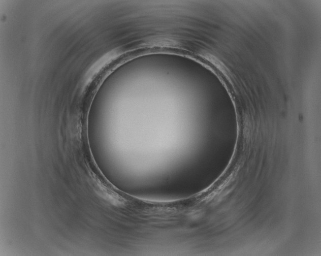 X0000062601115200512211103