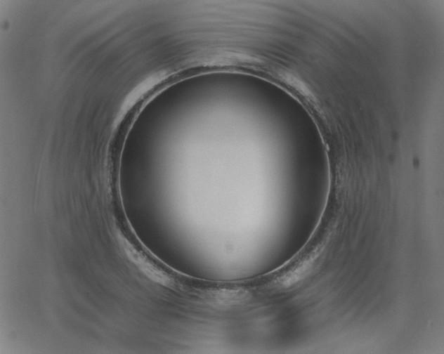 X0000062601122200512211103
