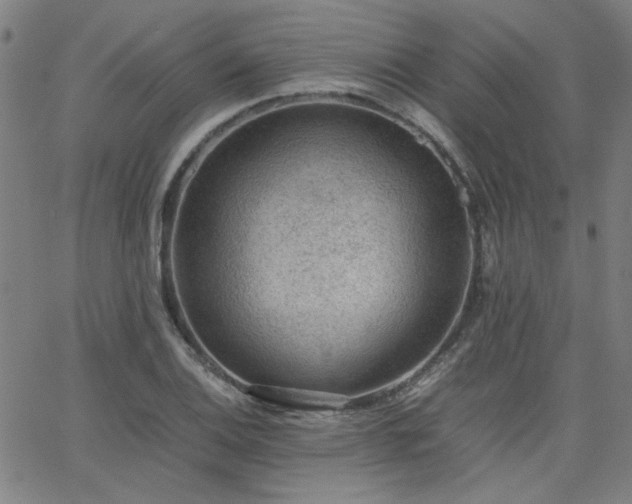 X0000062601124200512211103
