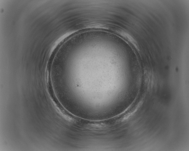 X0000062601125200512211103