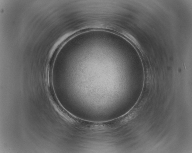 X0000062601128200512211103