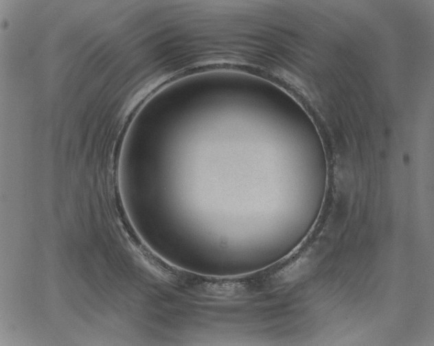 X0000062601129200512211103