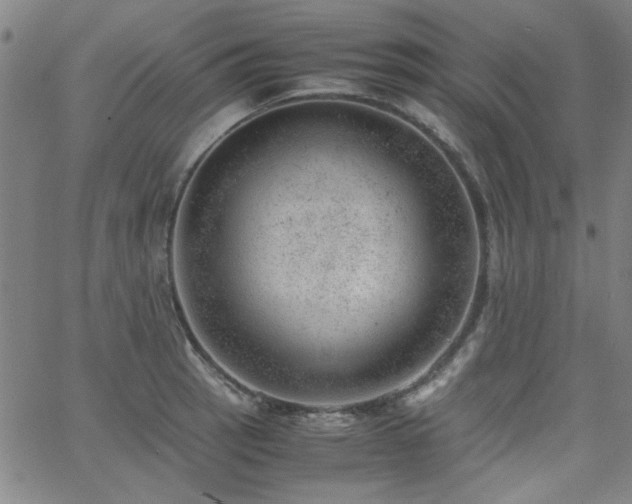 X0000062601137200512211103
