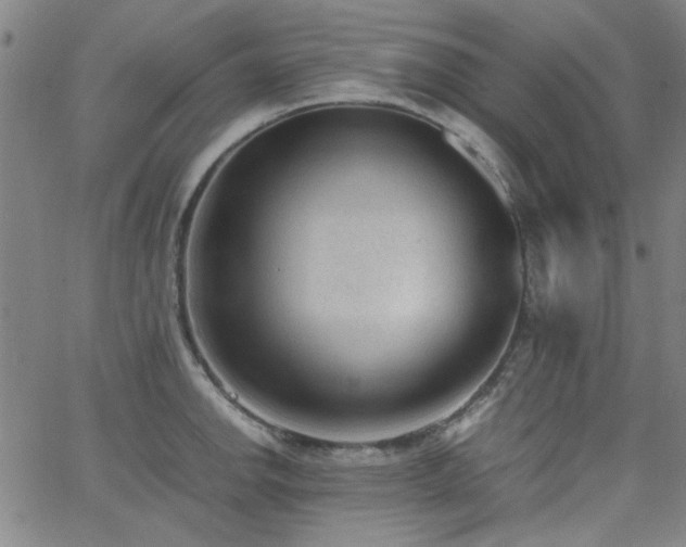 X0000062601142200512211104