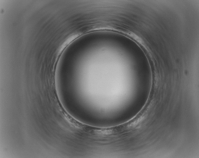 X0000062601145200512211104