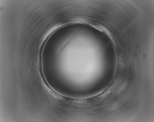 X0000062601147200512211104