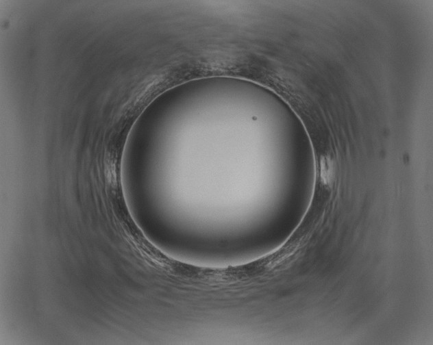 X0000062601155200512211103