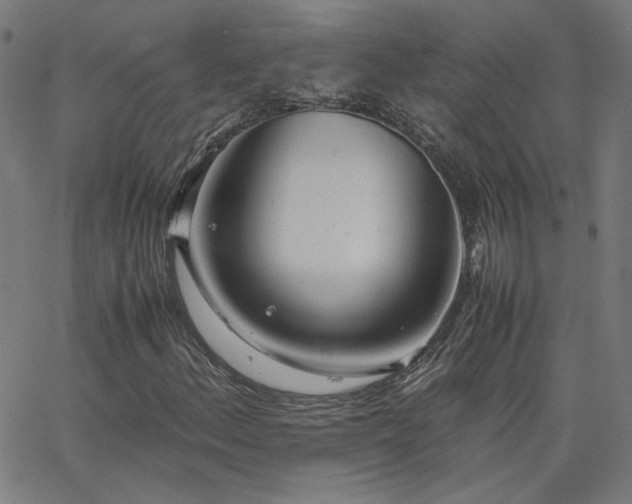 X0000062601156200512211103