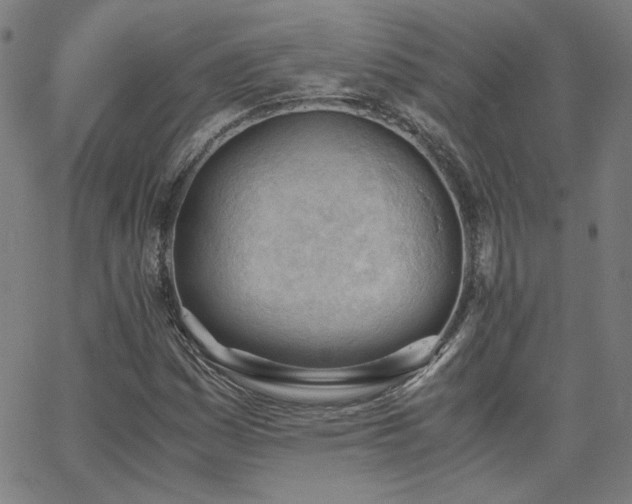 X0000062601161200512211103