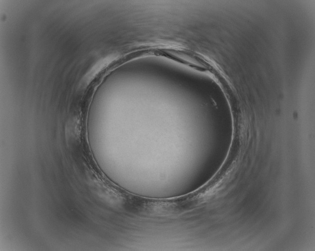 X0000062601163200512211103