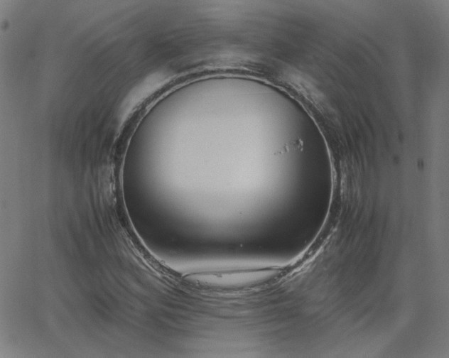 X0000062601164200512211103