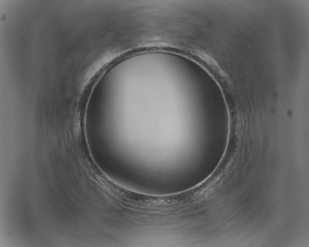 X0000062601167200512211103