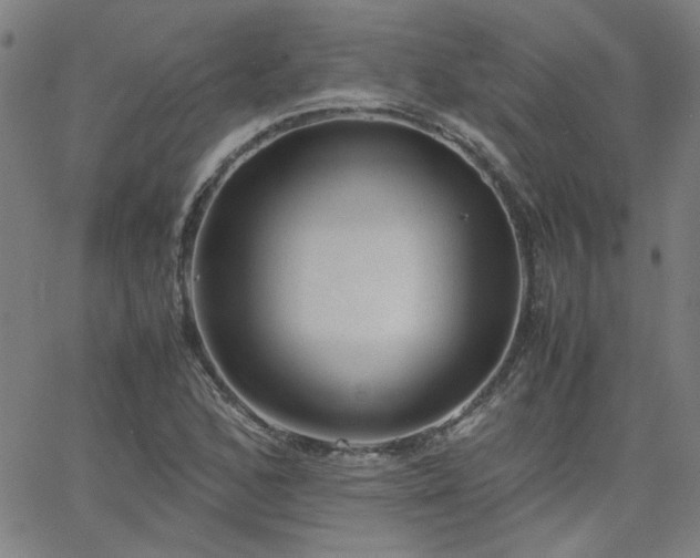 X0000062601168200512211103
