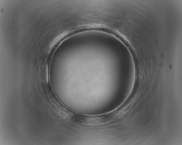 X0000062601171200512211103