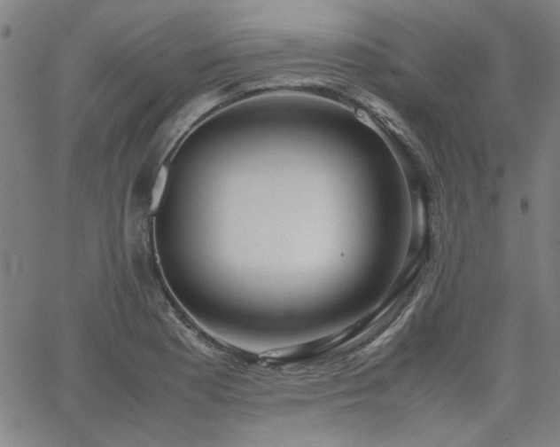 X0000062601177200512211103