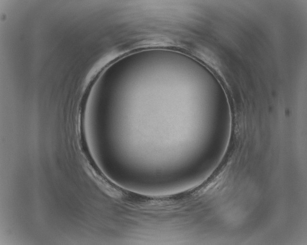 X0000062601179200512211102
