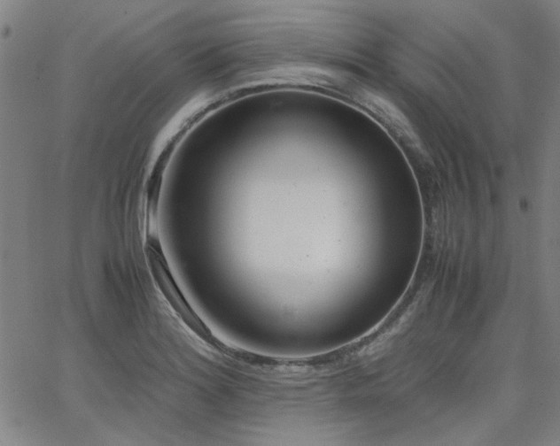 X0000062601180200512211102