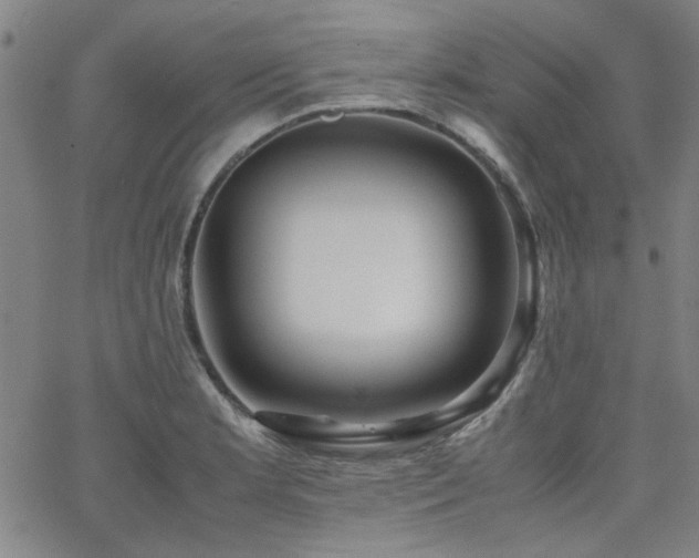 X0000062601181200512211102