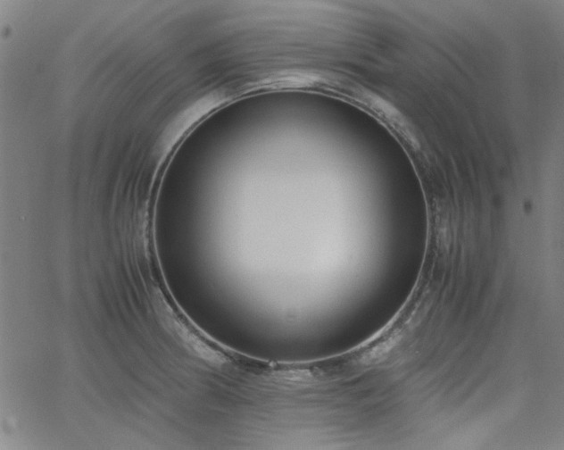X0000062601186200512211102