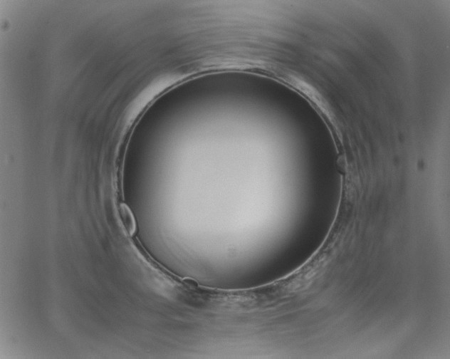 X0000062601187200512211102