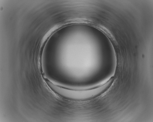X0000062601188200512211102