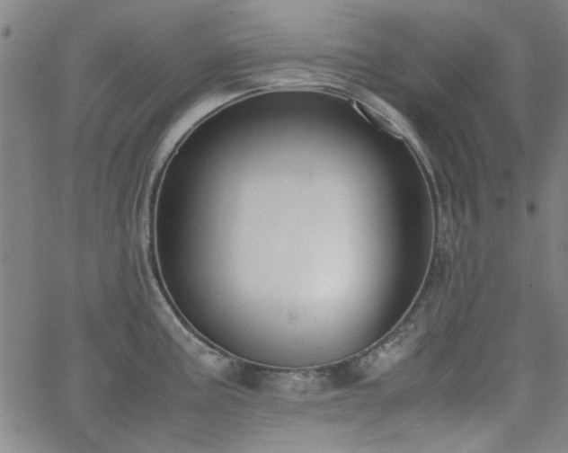 X0000062601195200512211102