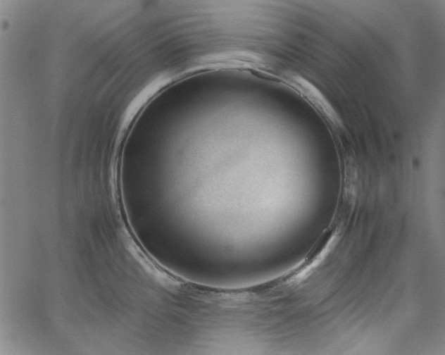 X0000062601196200512211102