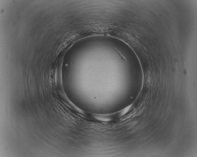 X0000062601202200512211101