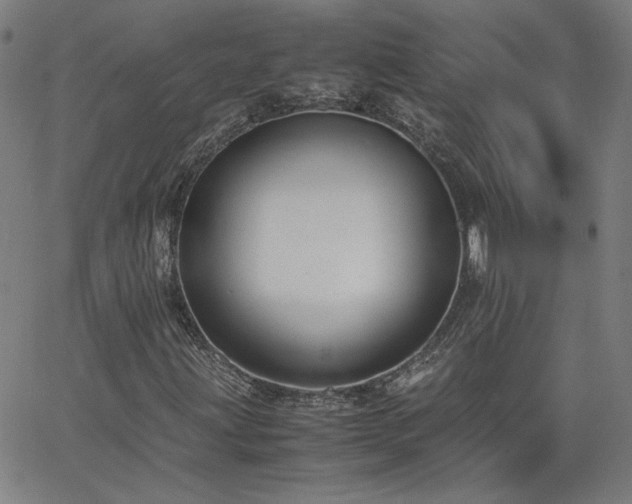 X0000062601203200512211101