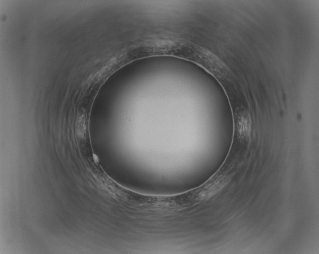 X0000062601204200512211101