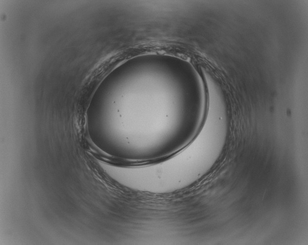 X0000062601206200512211101