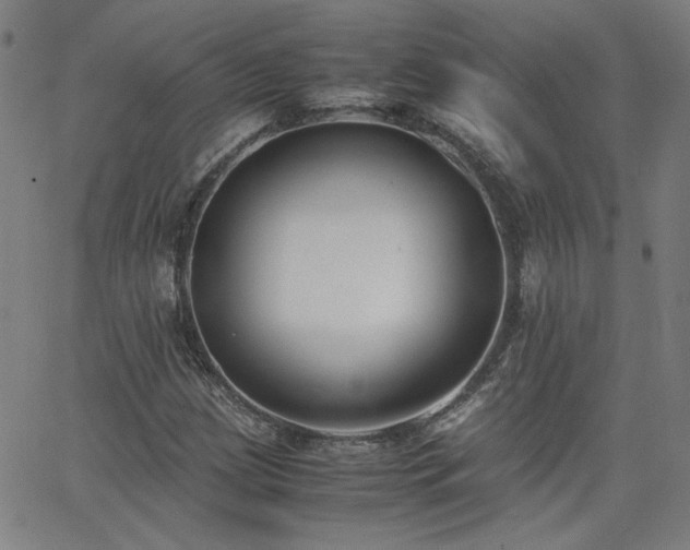 X0000062601209200512211101
