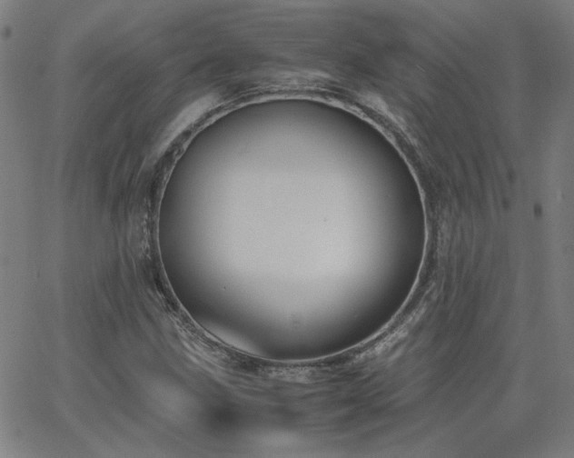 X0000062601211200512211101